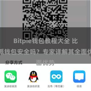 Bitpie钱包教程大全 比特派钱包安全吗？专家详解其全面优势