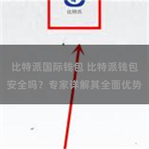 比特派国际钱包 比特派钱包安全吗？专家详解其全面优势