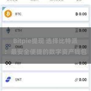 Bitpie提现 选择比特派：最安全便捷的数字资产钱包