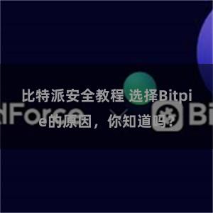 比特派安全教程 选择Bitpie的原因，你知道吗？