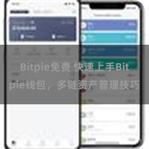 Bitpie免费 快速上手Bitpie钱包，多链资产管理技巧