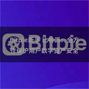 Bitpie新手 比特派：全方位保护用户数字资产安全