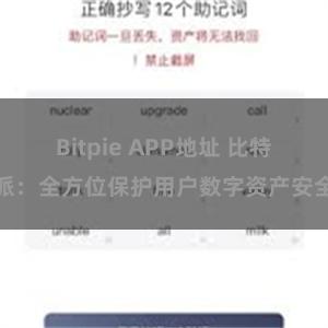 Bitpie APP地址 比特派：全方位保护用户数字资产安全