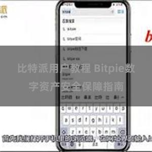 比特派用户教程 Bitpie数字资产安全保障指南