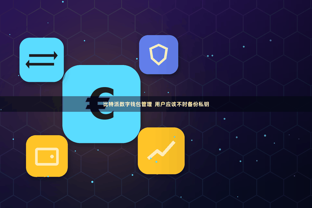 比特派数字钱包管理  用户应该不时备份私钥